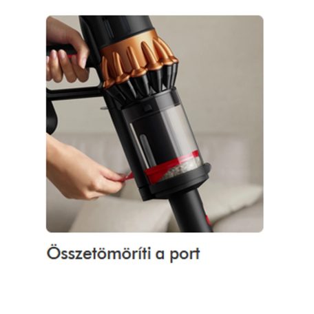 Dyson V16 Piston Animal Submarine (492969-01)